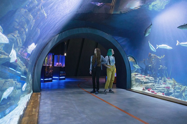 5: Ozeaneum Stralsund (05) Zwei Museumsgäste im Helgoland-Tunnel im OZEANEUM